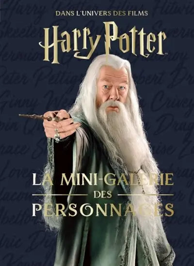 Livre Harry Potter : La Galerie des Personnages - Grimoire T9 -  La boutique Aux 2 Balais