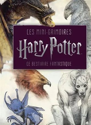 Livre Harry Potter : Le Bestiaire Fantastique - Mini Grimoire T2 -  La boutique Aux 2 Balais