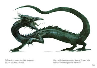 Livre Harry Potter : Le Bestiaire Fantastique - Mini Grimoire T2 -  La boutique Aux 2 Balais