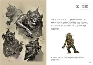 Livre Harry Potter : Le Bestiaire Fantastique - Mini Grimoire T2 -  La boutique Aux 2 Balais