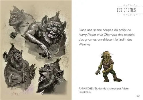 Livre Harry Potter : Le Bestiaire Fantastique - Mini Grimoire T2 -  La boutique Aux 2 Balais