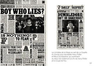 Livre Harry Potter : Le Design du Monde des Sorciers - Mini Grimoire T4 -  La boutique Aux 2 Balais