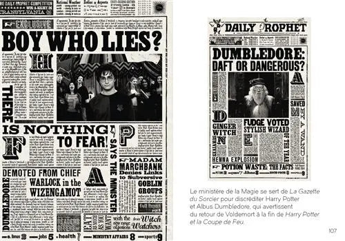 Livre Harry Potter : Le Design du Monde des Sorciers - Mini Grimoire T4 -  La boutique Aux 2 Balais