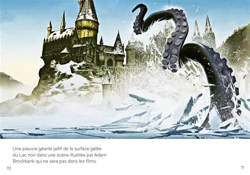 Livre Harry Potter : Les Lieux Magiques - Mini Grimoire T3 -  La boutique Aux 2 Balais