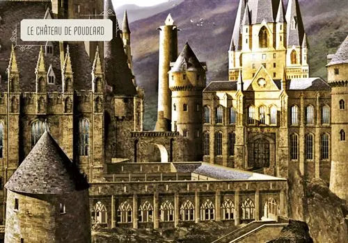 Livre Harry Potter : Les Lieux Magiques - Mini Grimoire T3 -  La boutique Aux 2 Balais