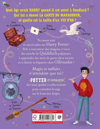 Livre Harry Potter : Potter et Compagnie - Harry Potter -  La boutique Aux 2 Balais