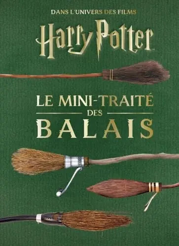 Livre Harry Potter : Traité des Balais - Mini Grimoire T5 -  La boutique Aux 2 Balais