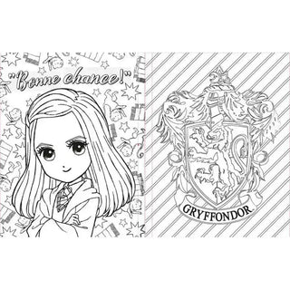 Livre de Coloriage Harry Potter -  La boutique Aux 2 Balais