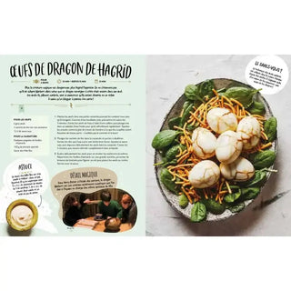 Livre de cuisine harry potter - Recettes inspirées des films -  La boutique Aux 2 Balais