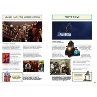 Maquettes Magiques - 22 modèles -  La boutique Aux 2 Balais