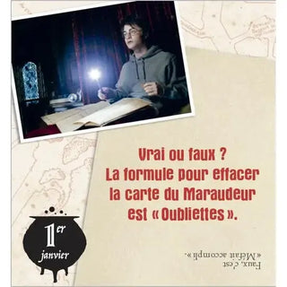 Mini Calendrier Harry Potter 365 jours -  La boutique Aux 2 Balais