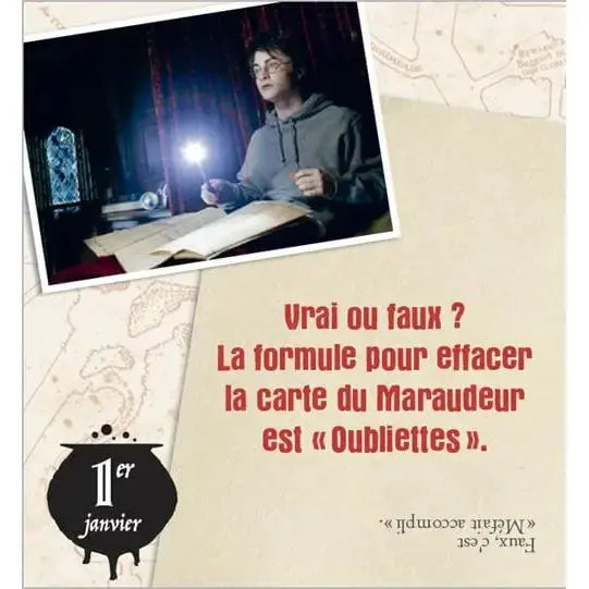 Mini Calendrier Harry Potter 365 jours -  La boutique Aux 2 Balais