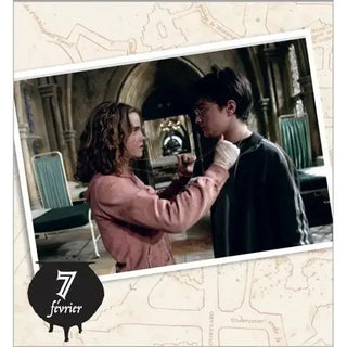 Mini Calendrier Harry Potter 365 jours -  La boutique Aux 2 Balais