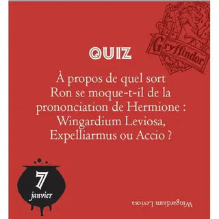 Mini Calendrier Harry Potter 365 jours -  La boutique Aux 2 Balais