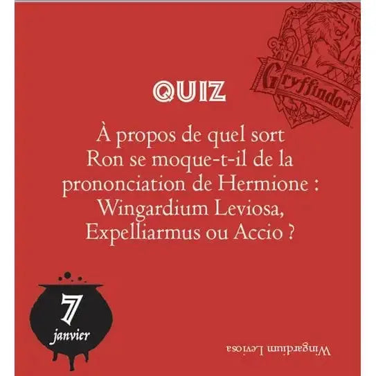 Mini Calendrier Harry Potter 365 jours -  La boutique Aux 2 Balais