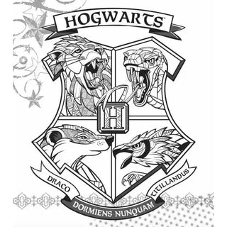 Mon coffret Cartes à gratter et à colorier -  La boutique Aux 2 Balais