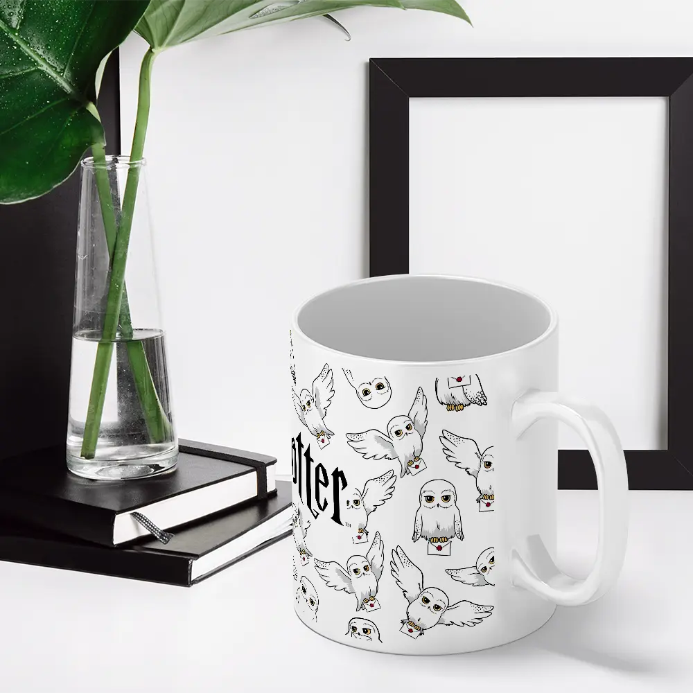 Mug Accio Hedwige et sa lettre 330ml -  La boutique Aux 2 Balais