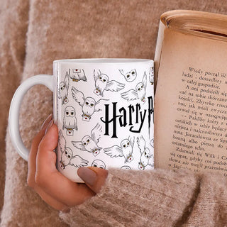 Mug Accio Hedwige et sa lettre 330ml -  La boutique Aux 2 Balais