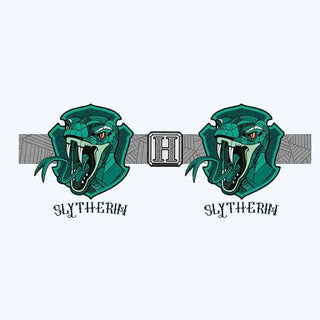 Mug Harry Potter Maison Serpentard - Céramique 320 ml -  La boutique Aux 2 Balais