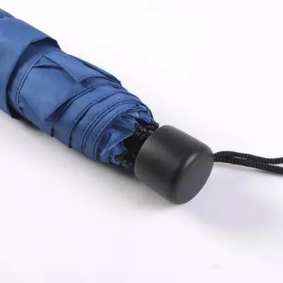parapluie compact aux couleurs de Serdaigle