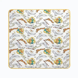 Plaid Le Monde d'Harry Potter Doux - Cocooning -  La boutique Aux 2 Balais