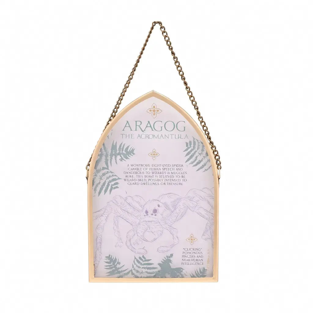Plaque en verre Aragog -  La boutique Aux 2 Balais