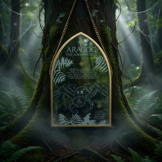 Plaque en verre Aragog -  La boutique Aux 2 Balais