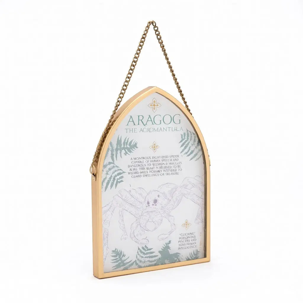 Plaque en verre Aragog -  La boutique Aux 2 Balais
