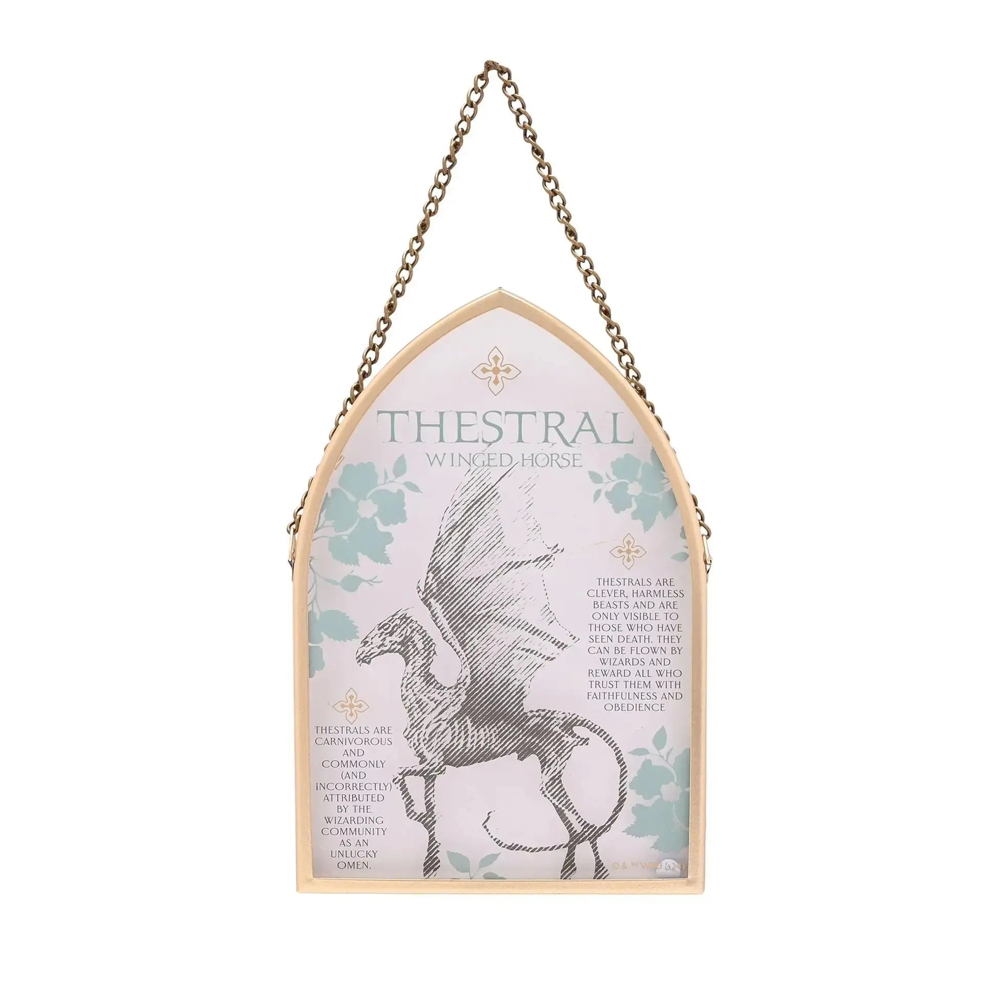 Plaque en verre Sombral -  La boutique Aux 2 Balais