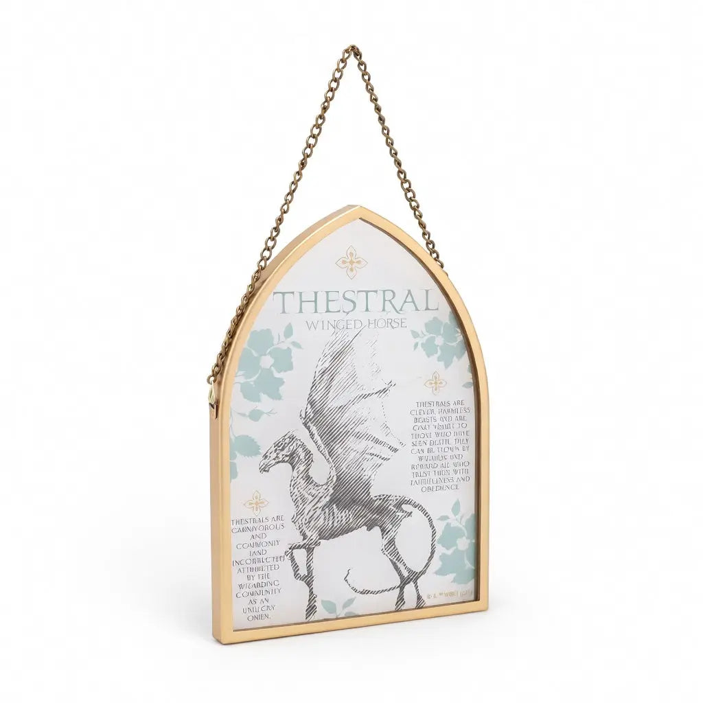 Plaque en verre Sombral -  La boutique Aux 2 Balais