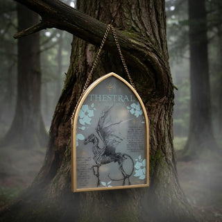 Plaque en verre Sombral -  La boutique Aux 2 Balais