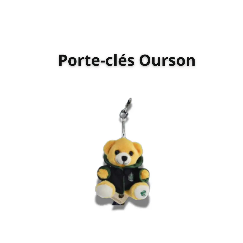 Porte-Clés Ourson Serpentard – Harry Potter -  La boutique Aux 2 Balais