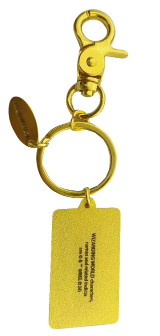 Porte-Clés Ticket Poudlard Express – Harry Potter -  La boutique Aux 2 Balais