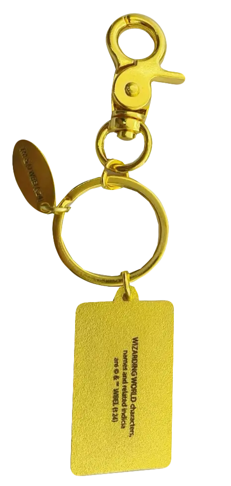 Porte-Clés Ticket Poudlard Express – Harry Potter -  La boutique Aux 2 Balais