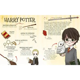 Poudlard, le dressing -  La boutique Aux 2 Balais