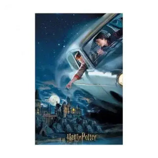 Puzzle 3D Lenticulaire Harry et Ron -  La boutique Aux 2 Balais