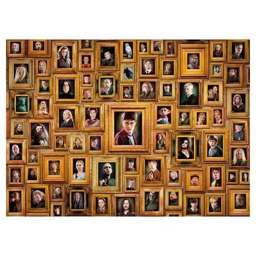 Puzzle Portraits Impossible 1000 pièces -  La boutique Aux 2 Balais