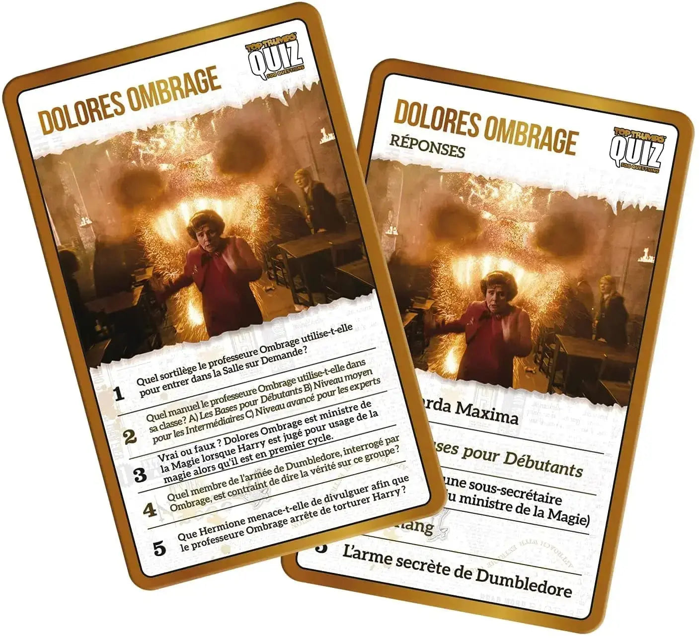 Quiz Harry Potter 500 Questions -  La boutique Aux 2 Balais