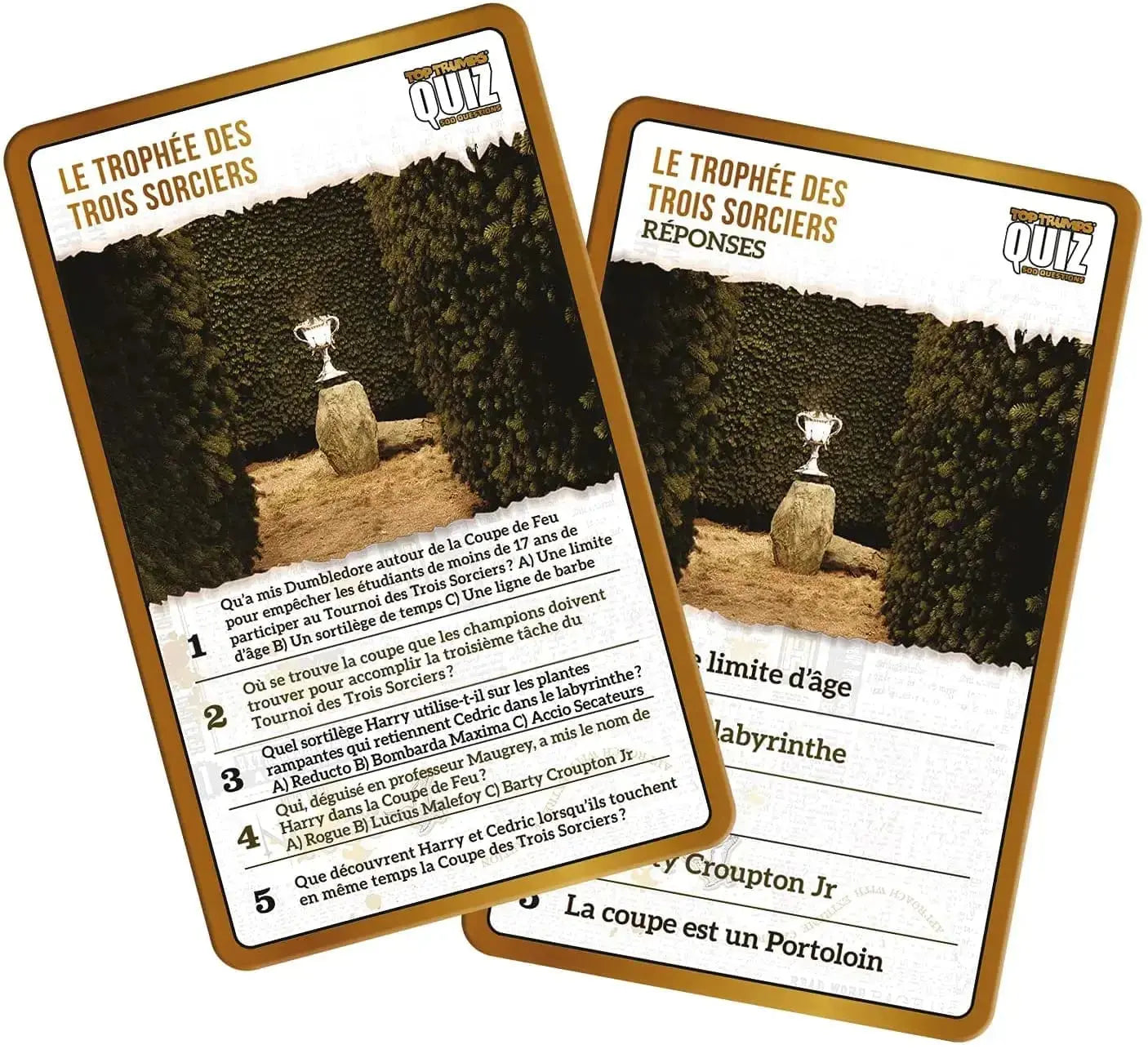 Quiz Harry Potter 500 Questions -  La boutique Aux 2 Balais