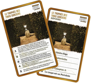 Quiz Harry Potter 500 Questions -  La boutique Aux 2 Balais