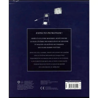 Séances Magiques - Le Sortilège Patronus -  La boutique Aux 2 Balais