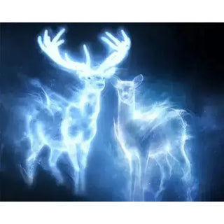 Séances Magiques - Le Sortilège Patronus -  La boutique Aux 2 Balais