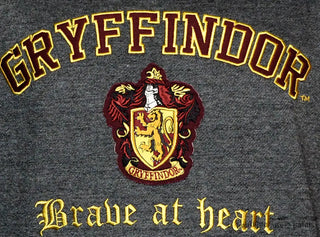 Sweat à Capuche Premium Gryffondor
