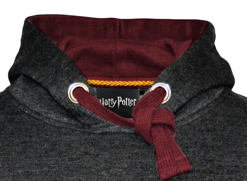 Sweat à Capuche Premium Gryffondor