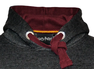 Sweat à Capuche Premium Gryffondor