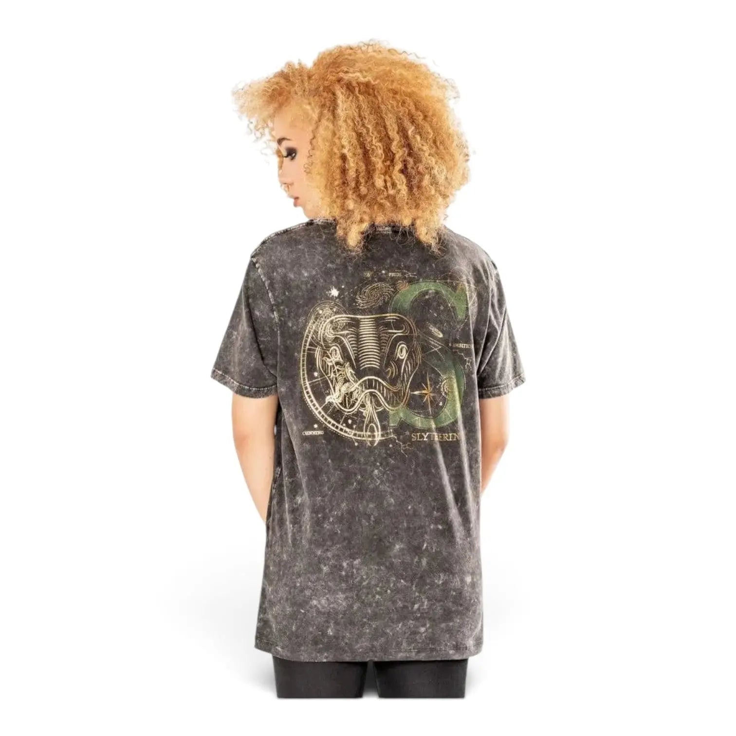 T-shirt La boutique Aux 2 Balais gris effet délavé avec emblème Serpentard doré et vert au dos, 100% coton