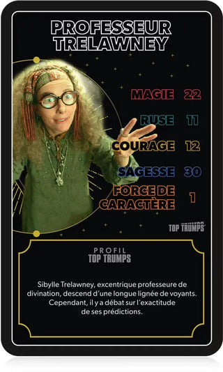 TOP Trumps Les Heros de Poudlard -  La boutique Aux 2 Balais