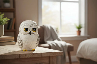 Tirelire Hedwige en céramique -  La boutique Aux 2 Balais