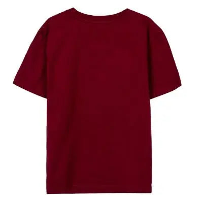 Tshirt Gryffondor Enfant -  La boutique Aux 2 Balais