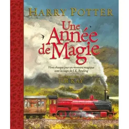 Une année de Magie par Jim Kay -  La boutique Aux 2 Balais